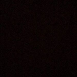 Meet your Posher, Bryanna